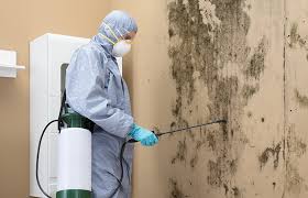 Best Crawl Space Mold Remediation  in Grayslake, IL